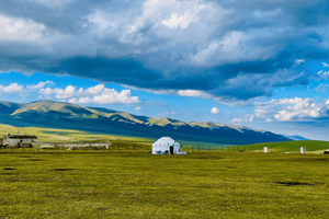 Almaty : visite d'une journée : Kolsai, lac Kaindy et canyon de Charyn