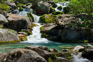 Almaty : visite privative – cascade du Hobbit, sources, spectacle de faucons