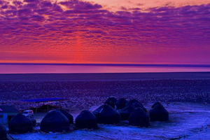 Aral Sea Tour from Nukus 1 night / 2 days
