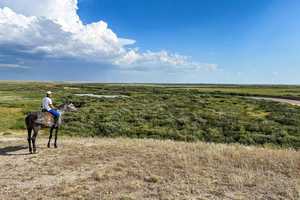 Astana: 2 päivän ja 1 yön ranch-vierailu ja kierros historiallisessa mausoleumissa