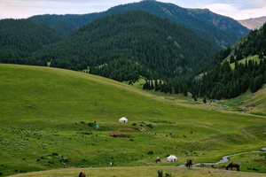Tour fuoristrada in jeep: alla scoperta dell'altopiano di Assy e del lago Issyk