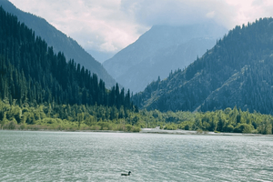 Private: Issyk lake, museum of Golden Man, Trout farm