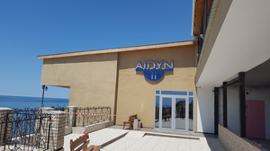 Айдын