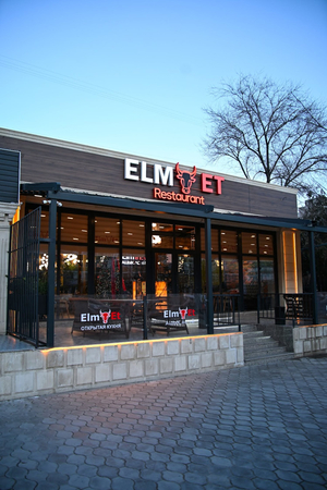 ELMET