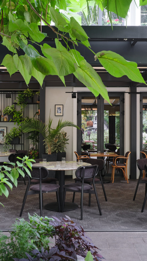 Giardino