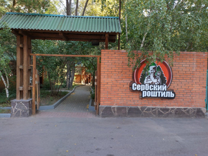 Сербский роштиль