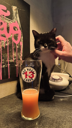 Under Beer | Craft Beer & Cider
