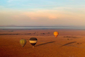 1 Day Masai Mara Game Drive