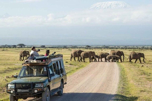 3-Days & 2 Nights Amboseli Safari – Wildlife Adventure