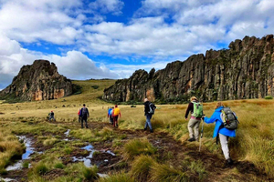 Aberdare: Excursão Guiada de Mountain Bike com Ajuste da Bicicleta