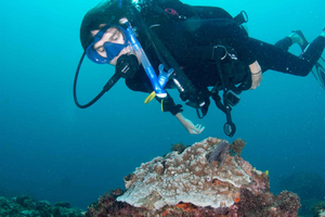 Diani: Advanced Open Water Diver Course