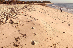 Diani Beach, Private Coastal Tour with Local Guide