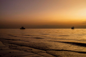 Diani: Coastal Excursion