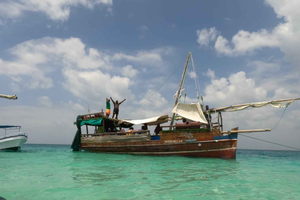 Diani: Kenya's Ultimate Dolphin & Snorkeling Day Trip