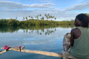 Diani: Sunset Canoe Tour along the River with Mangroves