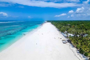 Diani: Swahili-boerderijtour & picknick