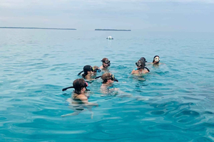 Diani: Wasini Dolphin & Snorkeling Day Trip with Pick Up