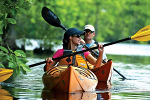 Explore Private Mangrove Kayak Adventure with Village Tour