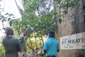 From Kisumu: Kit Mikayi Guided Tour