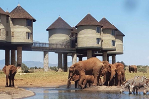 Desde Mombasa:safari de 5 días en Tsavo Este, Oeste y Saltlick Lodge