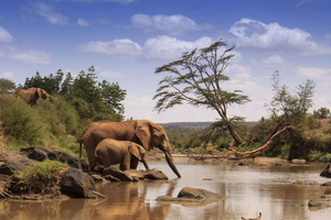 From Nairobi: 3-Day Tour to Samburu National Reserve