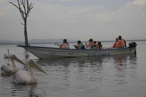 From Nairobi: Crescent Island Safari & Horse Riding