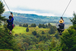 From Nairobi: Kereita Forest Adrenaline Adventure Day