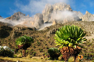 From Nairobi: Kya Mwilu Hills Guided Hike with Picnic Lunch