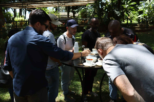 Desde Nairobi: tour por plantaciones de té y café con degustaciones