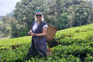 Kaimbethu Tee Farm Tour und Mittagessen Paket