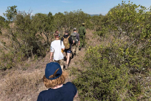 Kisumu: Kakamega Forest guided day tour