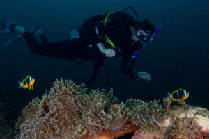 Learn to Scuba Dive in Diani – Open Water Diver Course