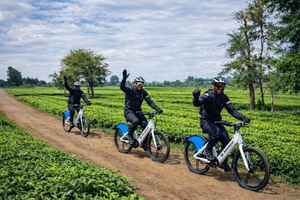 Limuru: E-Bike Ride Through Tea Plantations
