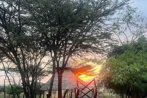 Masái Mara: safari romántico con paseo en globo opcional
