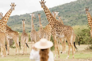 Maasai Mara Safari with Maasai Village Visit