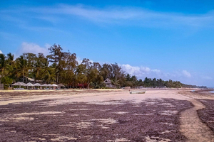 Malindi: plaża, nurkowanie i siatkówka