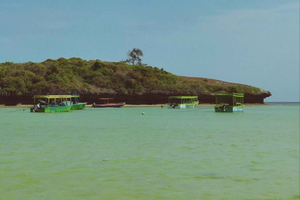 Malindi: City Highlights and Blue Safari Tour with Lunch
