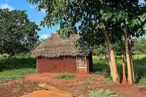Malindi: Mijikenda Village Tour with Dance and Rituals