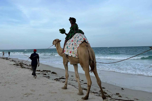 Mombasa: Diani Beach Sunset Camel Ride Experience