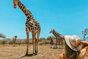 Mombasa: Guided Nature Walk Amongst Giraffes