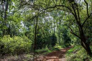 Mombasa: Mida Creek & Arabuko Sokoke Forest Eco Tour