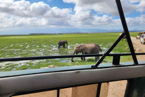 Nairobi: Amboseli National Park Flight and Safari Tour