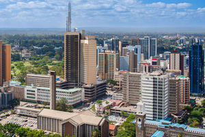 Nairobi: City Highlights Walking Tour with Guide