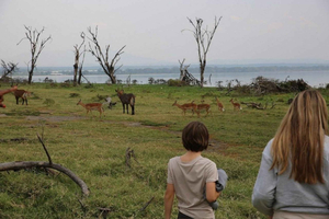 Nairobi: Crescent Island Walking Safari and Lake Naivasha
