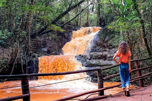 Nairobi: From Nairobi-Karura Forest Guided Walking Tour