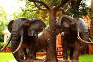 Nairobi: Giraffe Center, Karen Blixen Museum & Art Tour