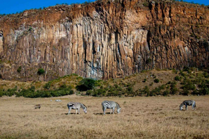 Nairobi: Hell’s Gate Landscape & Olkaria Geothermal Spa trip