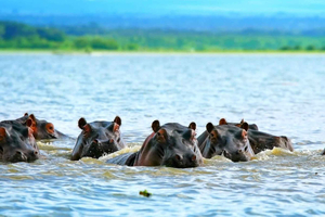 Nairobi: Hell's Gate & Crescent Island 2-Day Tour