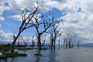 Nairobi: Hell's Gate & Lake Naivasha Day Trip with Boat Ride