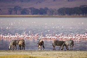 Nairobi: tour en bici por el Parque Puerta del Infierno y el lago Naivasha